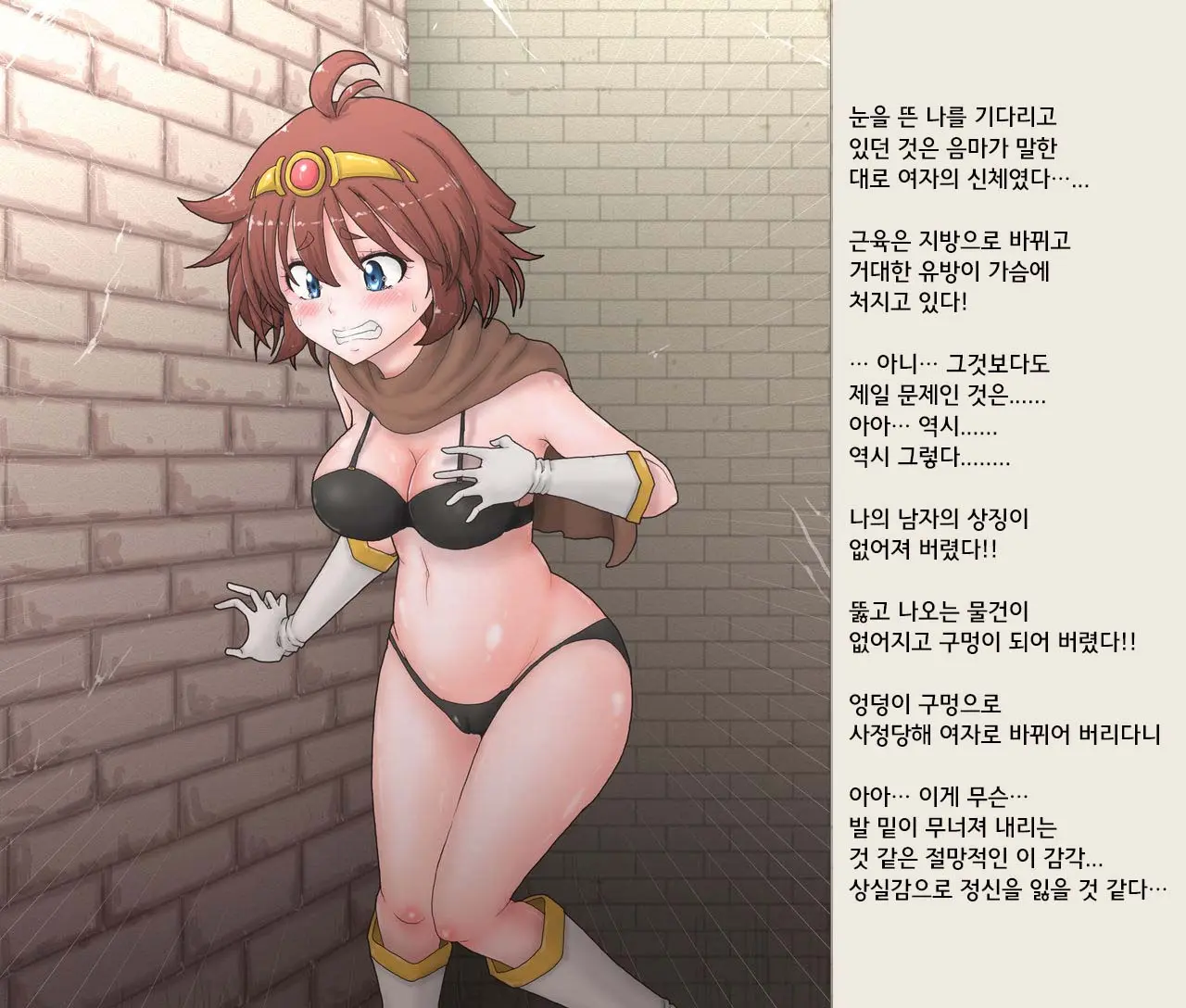 Nyotaika Onaho Yuusha-Sama - Ore Yuusha Nanoni Seitenkan De Onna Ni Sarete Orc No Onaho Ni Sarechatta | 여체화 오나홀 용자님 나 용사인데 성전환으로 여자가 되어 오크 호나홀이 되버렸다